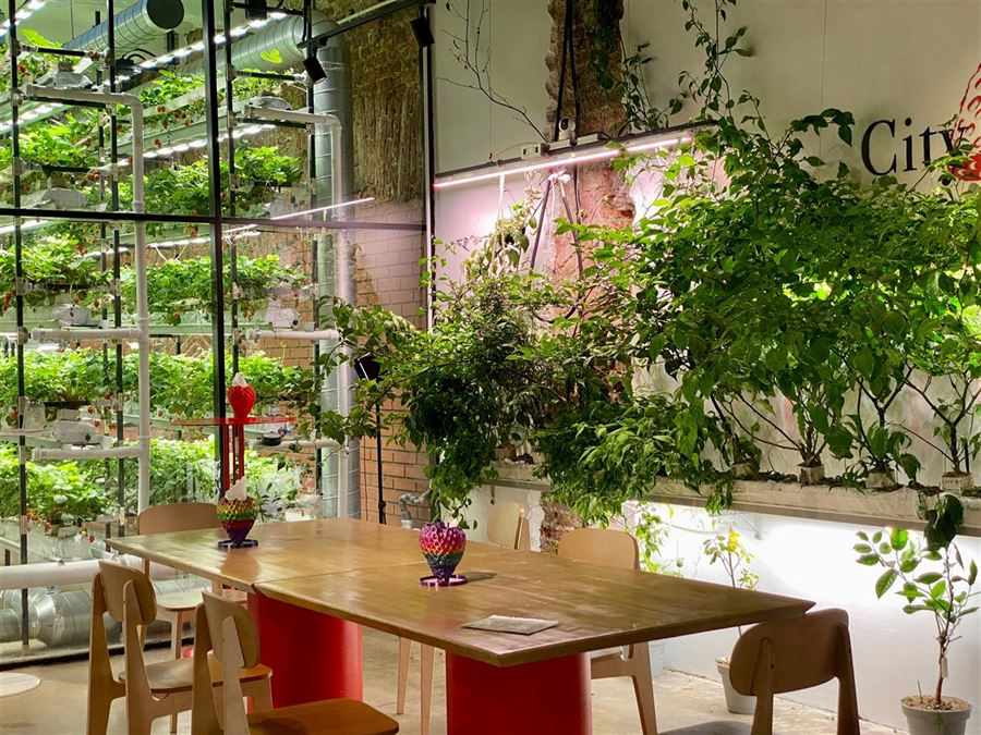 Langt havebord - skab plads og hygge i haven