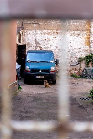 Find den perfekte varebiler til salg til alle dine vehov